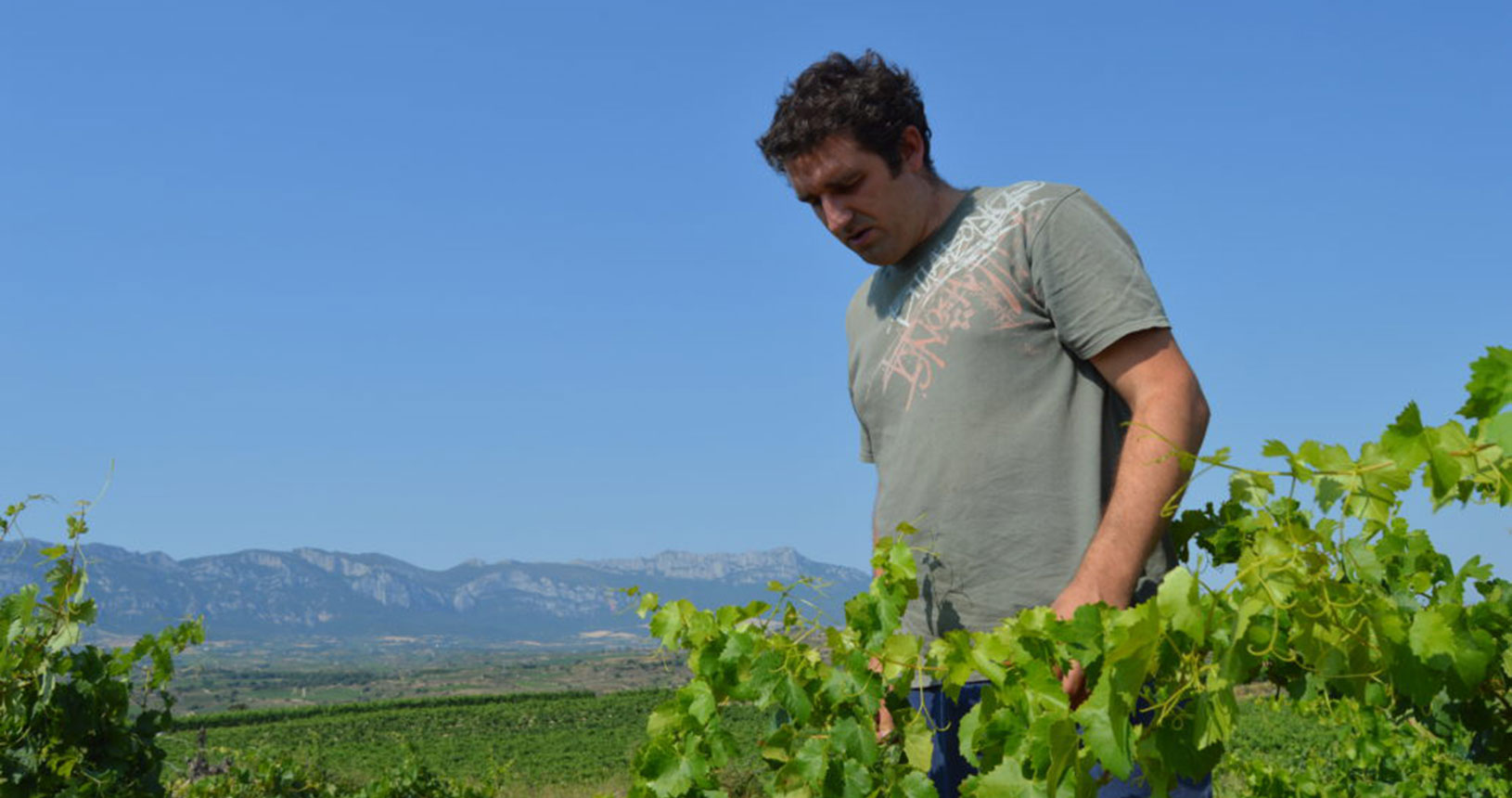 Small independent winemakers