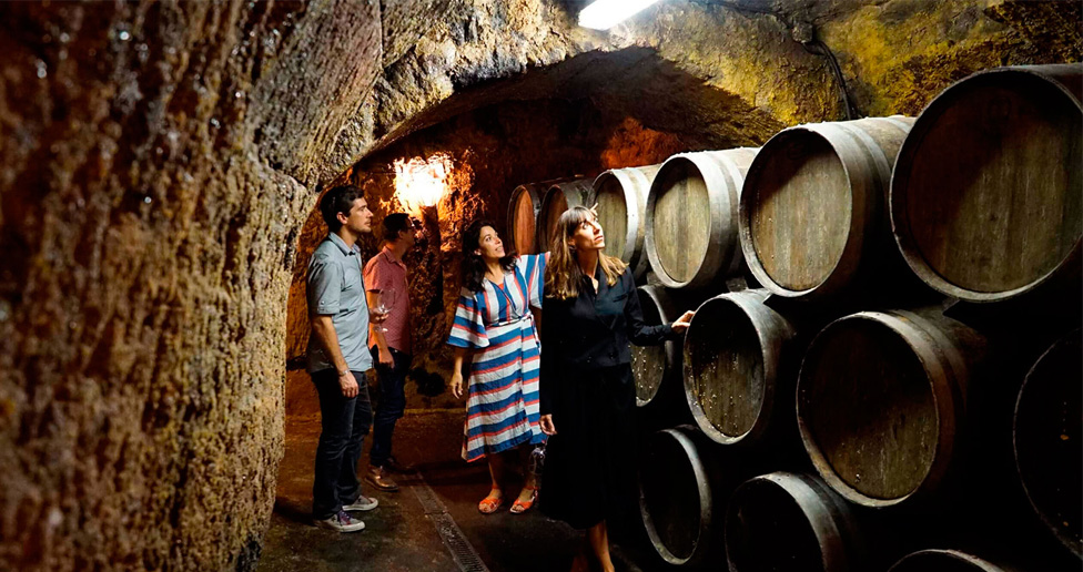 Rioja Wine Trips, Experiencias Auténticas